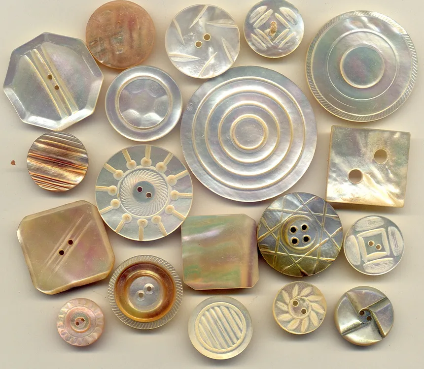 Shell Buttons